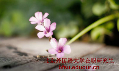 北京外国语在职研究生课程研修班可以免试入学吗？